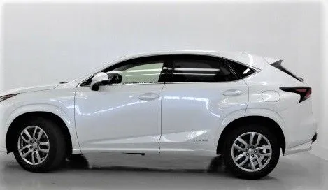 Genuine Lexus Japan 2015-2017 NX Factory Painted Aero Side Skirts